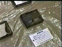 Police Evidence